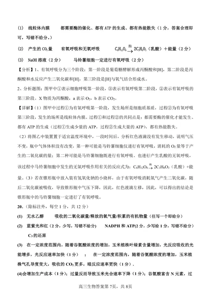河南省濮阳外国语学校2025-2026学年高三上学期10月月考生物试题（含解析）_251102河南省濮阳外国语学校2025-2026学年高三上学期10月月考