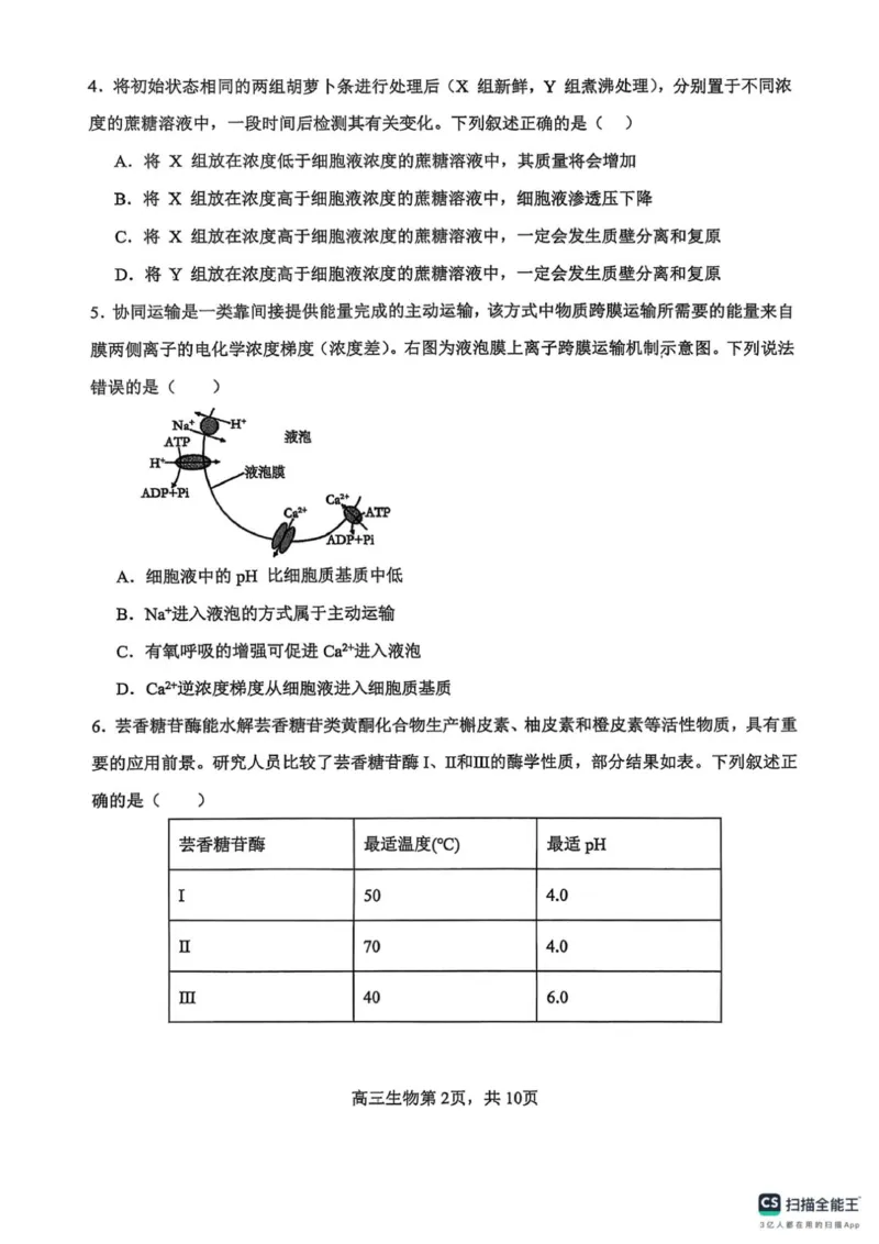河南省濮阳外国语学校2025-2026学年高三上学期10月月考生物试题（含解析）_251102河南省濮阳外国语学校2025-2026学年高三上学期10月月考