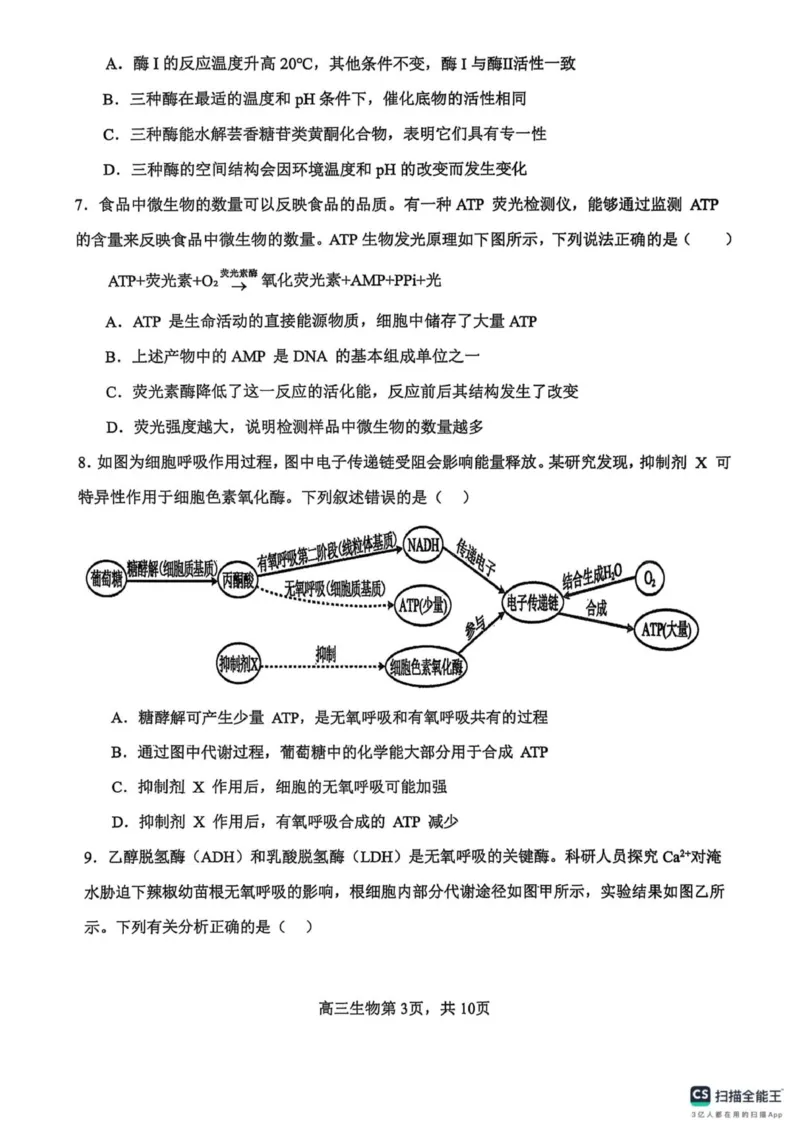 河南省濮阳外国语学校2025-2026学年高三上学期10月月考生物试题（含解析）_251102河南省濮阳外国语学校2025-2026学年高三上学期10月月考