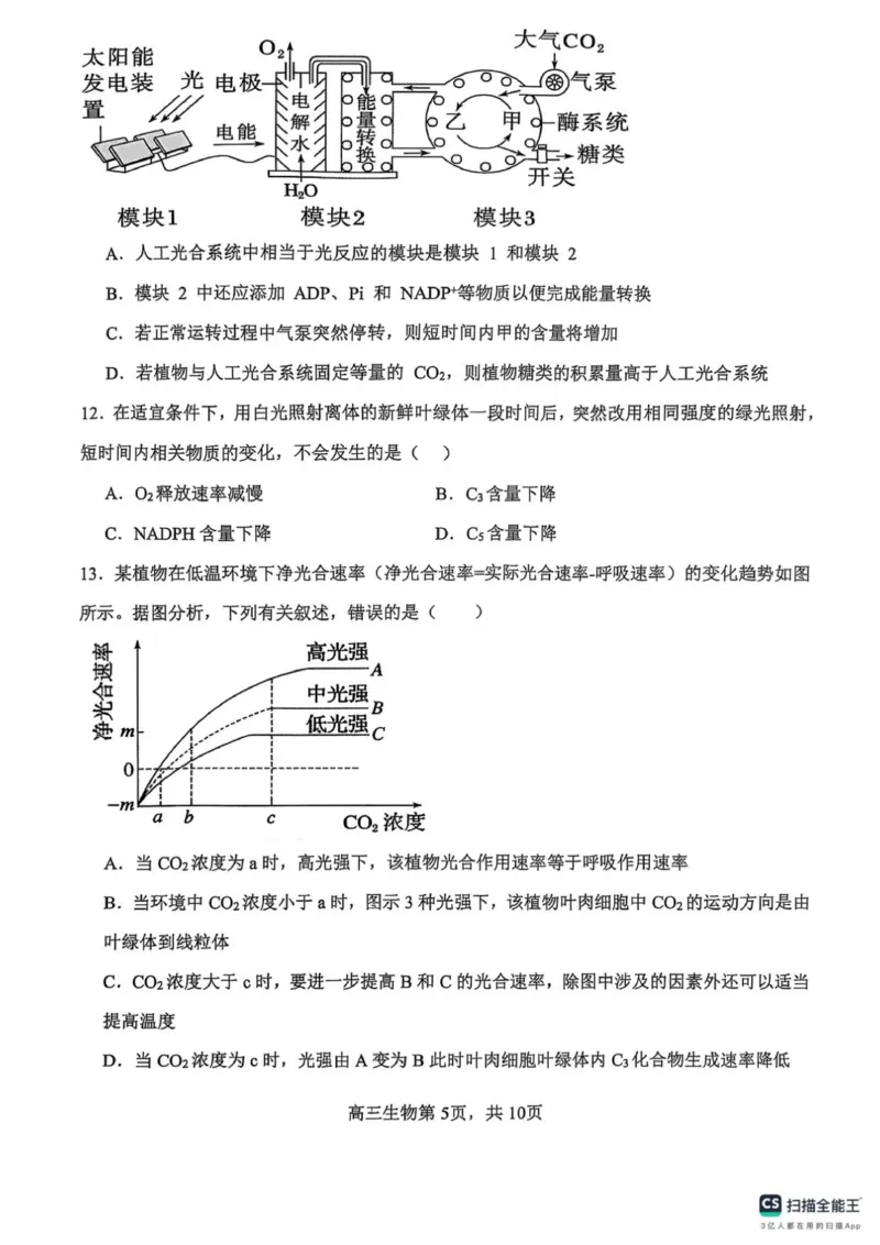 河南省濮阳外国语学校2025-2026学年高三上学期10月月考生物试题（含解析）_251102河南省濮阳外国语学校2025-2026学年高三上学期10月月考
