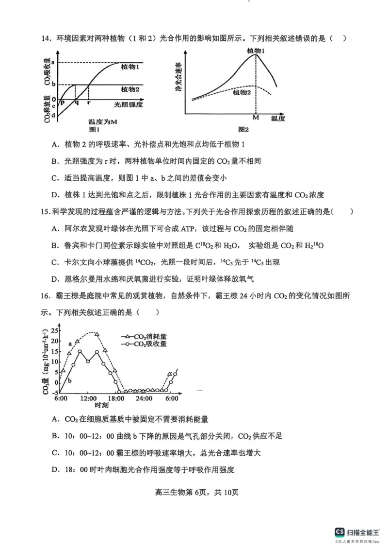 河南省濮阳外国语学校2025-2026学年高三上学期10月月考生物试题（含解析）_251102河南省濮阳外国语学校2025-2026学年高三上学期10月月考