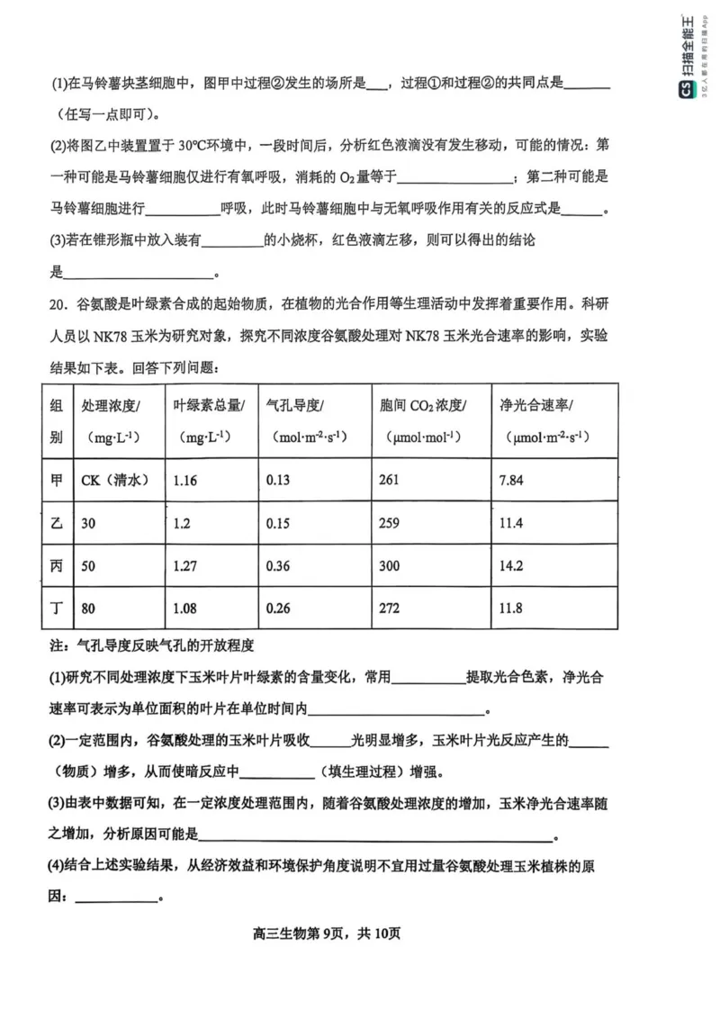 河南省濮阳外国语学校2025-2026学年高三上学期10月月考生物试题（含解析）_251102河南省濮阳外国语学校2025-2026学年高三上学期10月月考