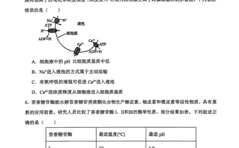 河南省濮阳外国语学校2025-2026学年高三上学期10月月考生物试题（含解析）_251102河南省濮阳外国语学校2025-2026学年高三上学期10月月考