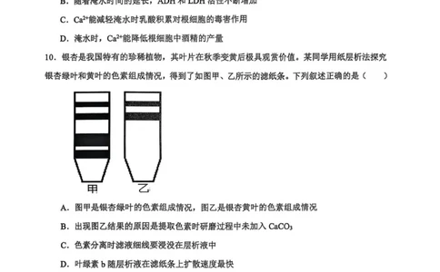 河南省濮阳外国语学校2025-2026学年高三上学期10月月考生物试题（含解析）_251102河南省濮阳外国语学校2025-2026学年高三上学期10月月考