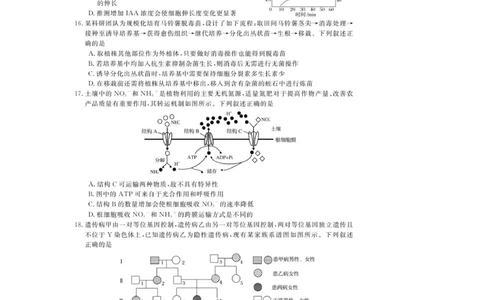 浙江省强基联盟2025-2026学年高三上学期12月联考生物试题_2025年12月_251204浙江省强基联盟2025年12月高三联考（全科）_浙江省强基联盟2025-2026学年高三上学期12月联考生物试题（含答案）