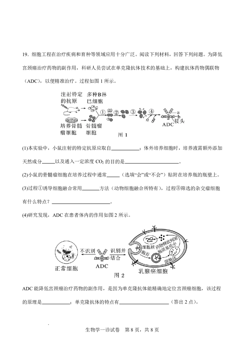 字节精准教育联盟&middot;NCS高2026届高考适应性考试（一诊）生物_251127四川省字节精准教育联盟&middot;NCS高2026届高考适应性考试（一诊）（全科）
