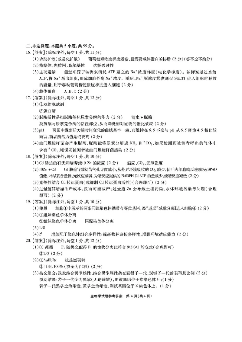 安徽省江淮十校2025-2026学年高三第二次联考生物试卷+答案_12026年试卷教辅资源等多个文件_251117安徽江淮十校2026届高三第二次联考