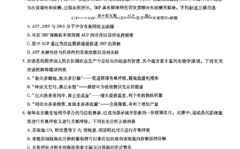 安徽省江淮十校2025-2026学年高三第二次联考生物试卷+答案_12026年试卷教辅资源等多个文件_251117安徽江淮十校2026届高三第二次联考