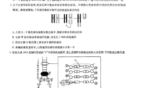 安徽省江淮十校2025-2026学年高三第二次联考生物试卷+答案_12026年试卷教辅资源等多个文件_251117安徽江淮十校2026届高三第二次联考