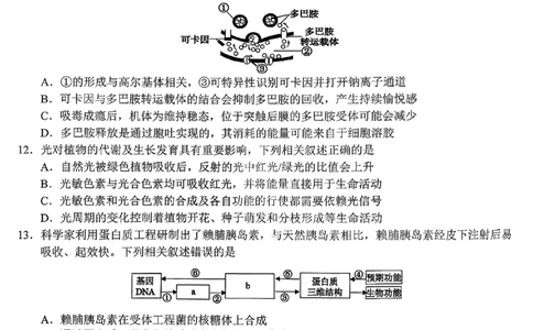 2512浙江省Z20名校联盟高三第二次联考生物试卷_2025年12月_251216Z20名校联盟（浙江省名校新高考研究联盟）2026届高三第二次联考（全科）