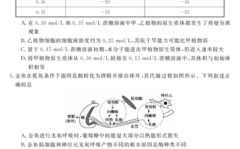 安徽省华师联盟2026届高三第一学期11月质量检测-生物_251115安徽省华师联盟2026届高三第一学期11月质量检测（全科）