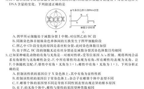 安徽省华师联盟2026届高三第一学期11月质量检测-生物_251115安徽省华师联盟2026届高三第一学期11月质量检测（全科）