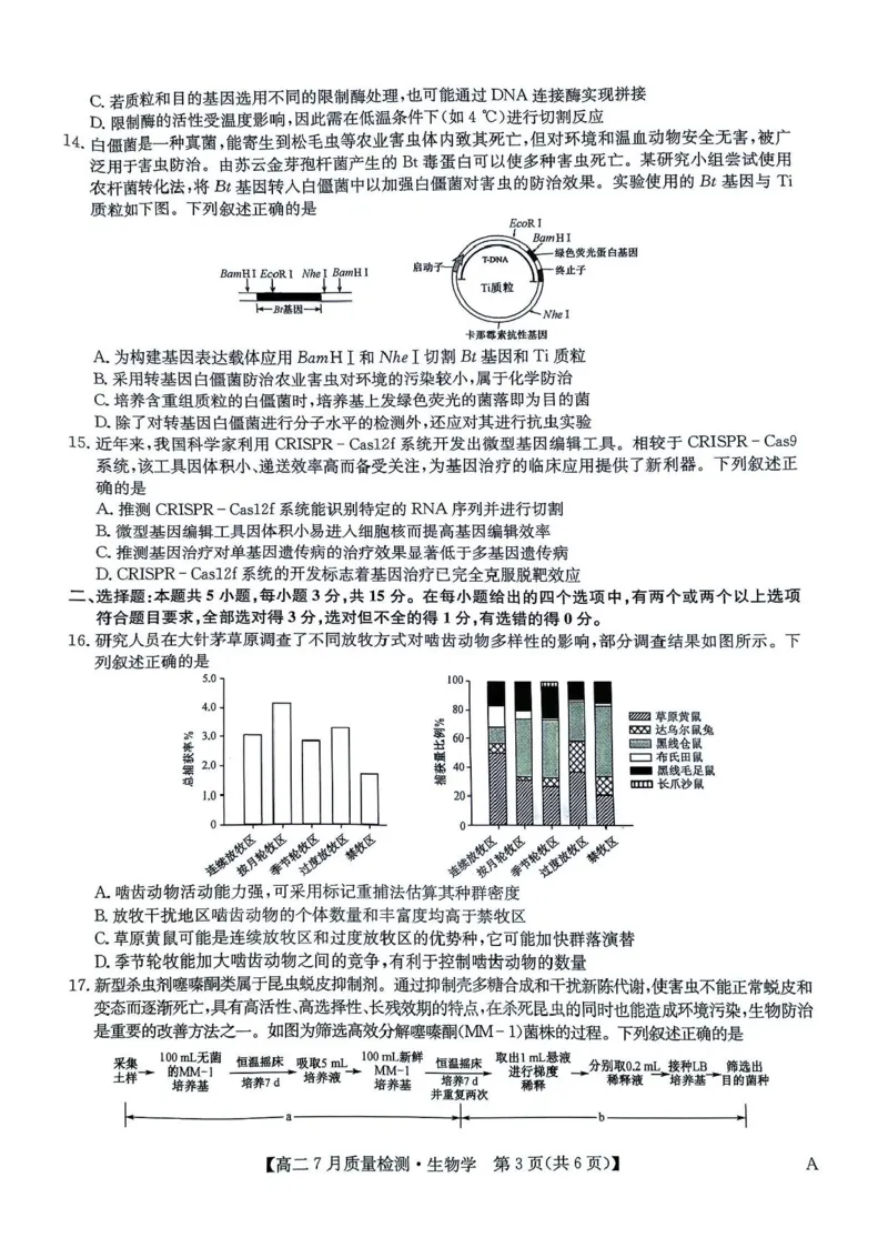 九师联盟2024-2025学年高二下学期7月期末质量检测生物试题（含答案）(1)_1多考区联考_250703九师联盟2024-2025学年高二下学期7月质量检测（全科）