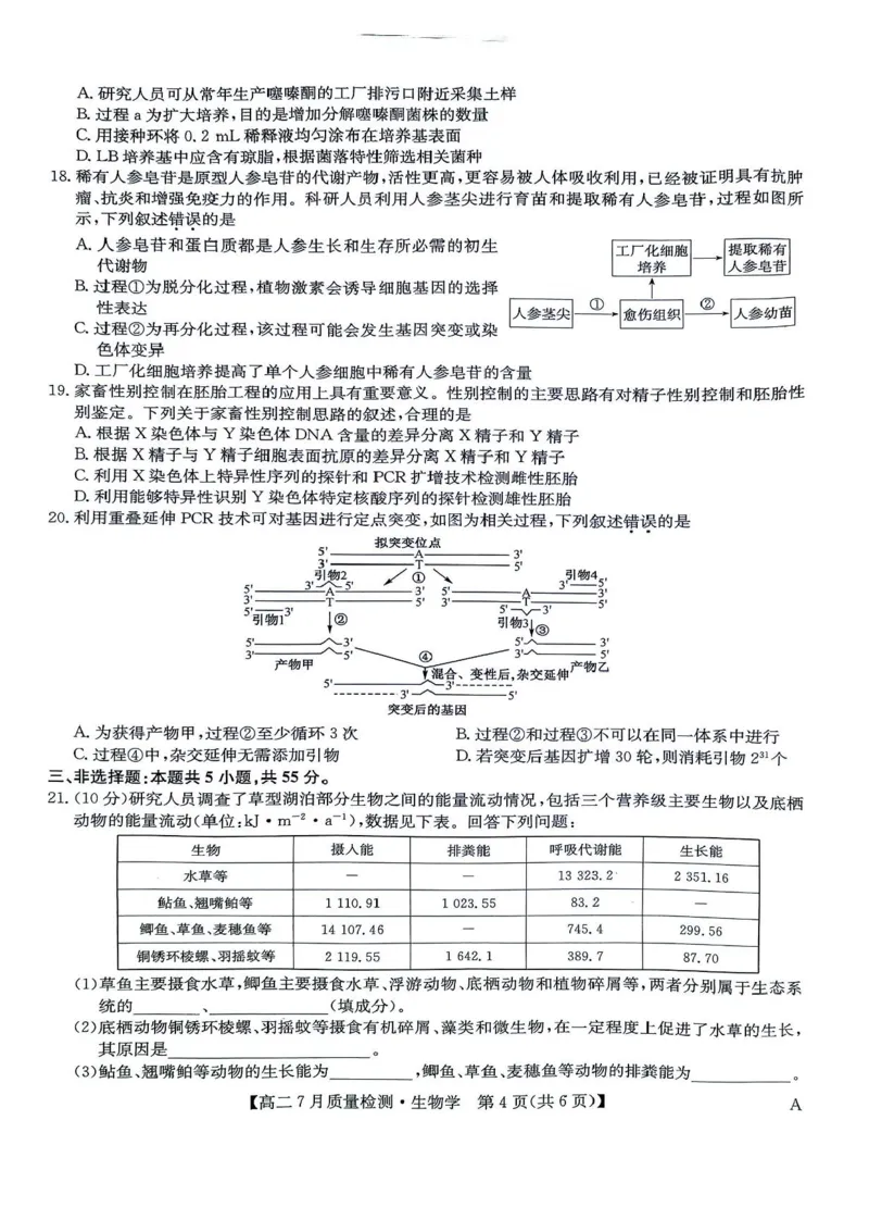 九师联盟2024-2025学年高二下学期7月期末质量检测生物试题（含答案）(1)_1多考区联考_250703九师联盟2024-2025学年高二下学期7月质量检测（全科）