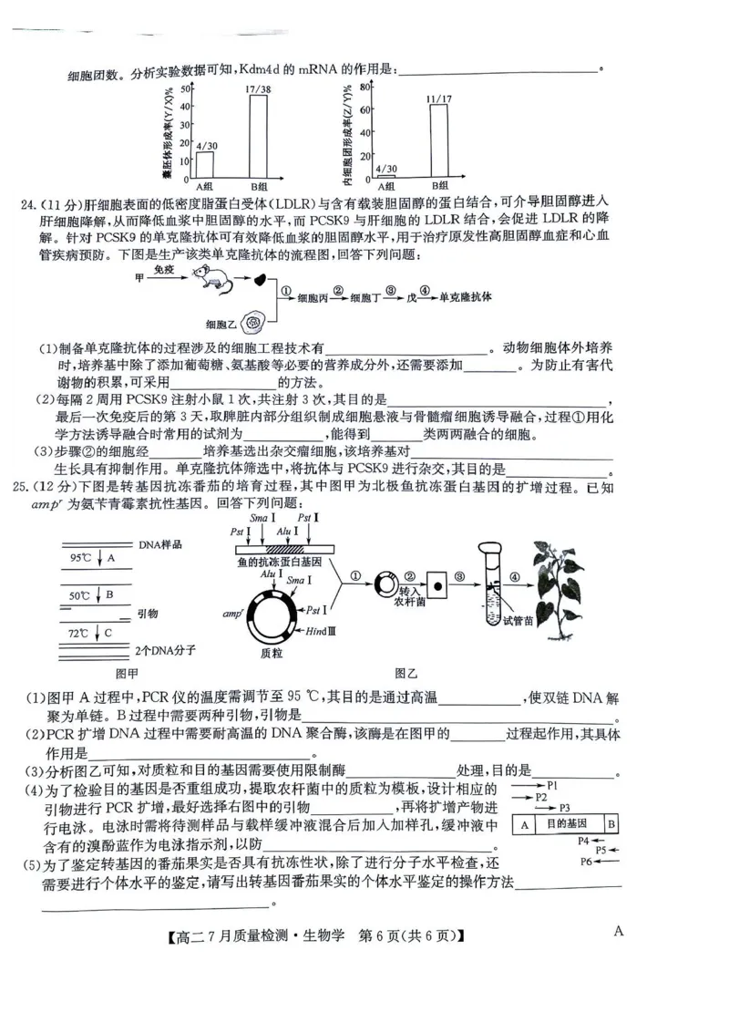 九师联盟2024-2025学年高二下学期7月期末质量检测生物试题（含答案）(1)_1多考区联考_250703九师联盟2024-2025学年高二下学期7月质量检测（全科）
