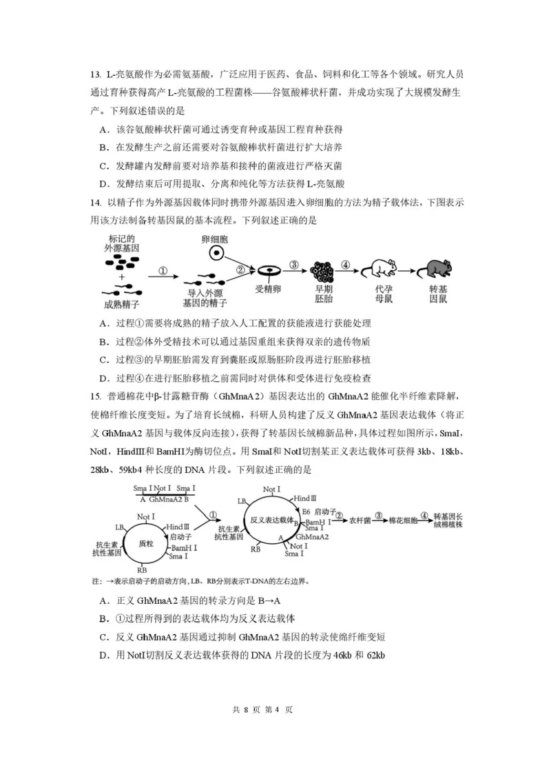 成都市第七中学2025-2026学年度上期高2026届一诊模拟考试生物试题（含答案）_2025年12月_251211成都市第七中学2025-2026学年度上期高2026届一诊模拟考试