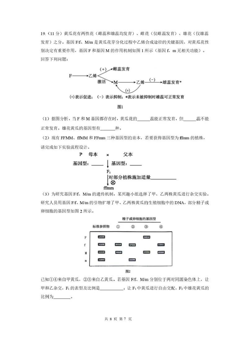 成都市第七中学2025-2026学年度上期高2026届一诊模拟考试生物试题（含答案）_2025年12月_251211成都市第七中学2025-2026学年度上期高2026届一诊模拟考试