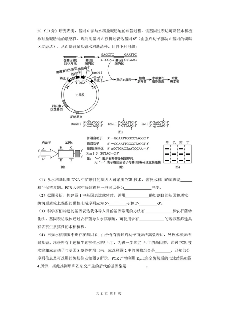 成都市第七中学2025-2026学年度上期高2026届一诊模拟考试生物试题（含答案）_2025年12月_251211成都市第七中学2025-2026学年度上期高2026届一诊模拟考试