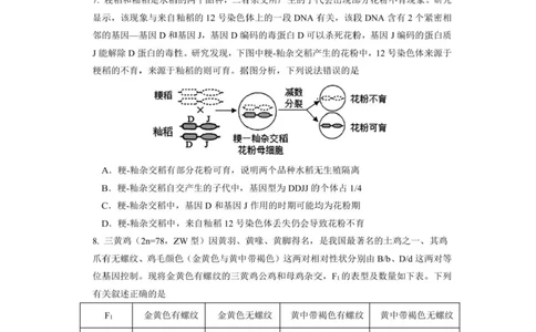 成都市第七中学2025-2026学年度上期高2026届一诊模拟考试生物试题（含答案）_2025年12月_251211成都市第七中学2025-2026学年度上期高2026届一诊模拟考试