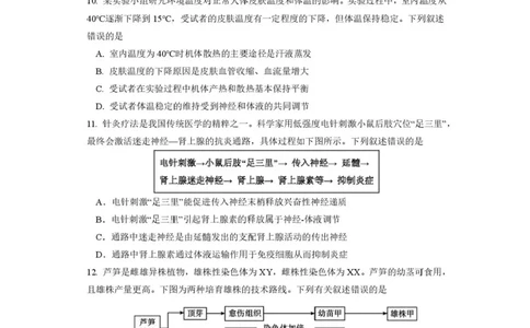 成都市第七中学2025-2026学年度上期高2026届一诊模拟考试生物试题（含答案）_2025年12月_251211成都市第七中学2025-2026学年度上期高2026届一诊模拟考试