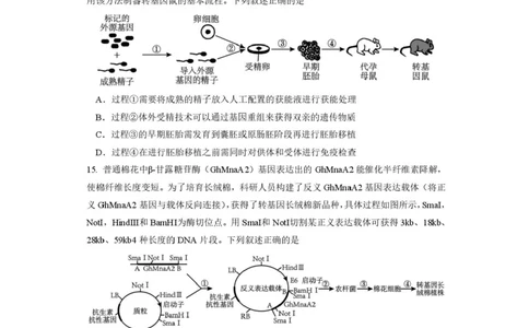 成都市第七中学2025-2026学年度上期高2026届一诊模拟考试生物试题（含答案）_2025年12月_251211成都市第七中学2025-2026学年度上期高2026届一诊模拟考试