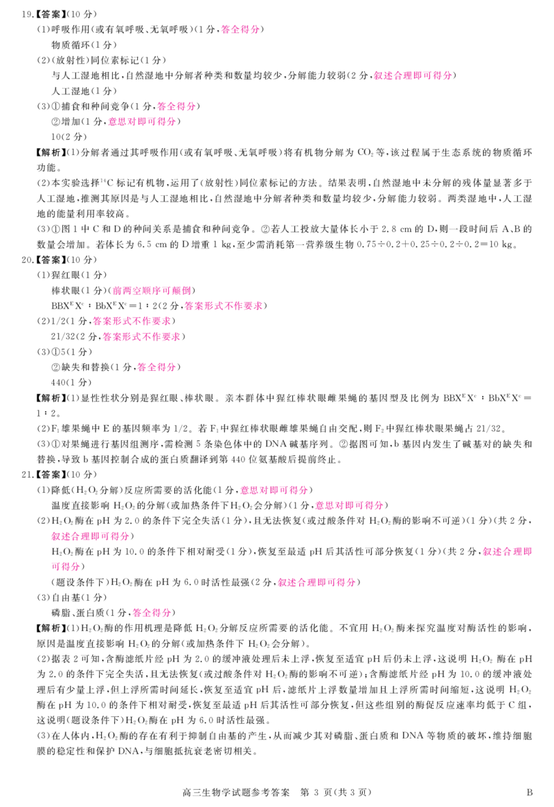 河南省新未来2025～2026学年高三年级12月质量检测生物答案_2025年12月_251220河南省新未来2025～2026学年高三年级12月质量检测（全科）