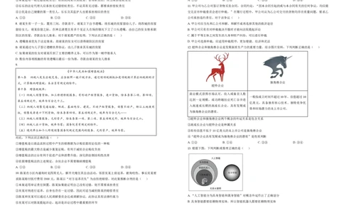 北京市东城区2024-2025学年度高二第二学期期末统一检测思想政治试卷（含答案）_2025年7月_250728北京市东城区2024-2025学年高二下学期期末考试（全科）_0823204624