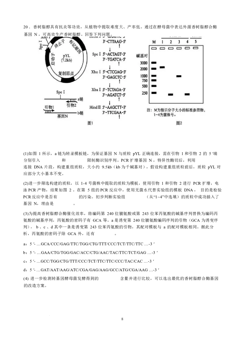 2025-2026学年高三毕业班第三次月考生物试题_2025年12月_251214福建省漳州市第三中学2025-2026学年高三上学期12月月考（全科）