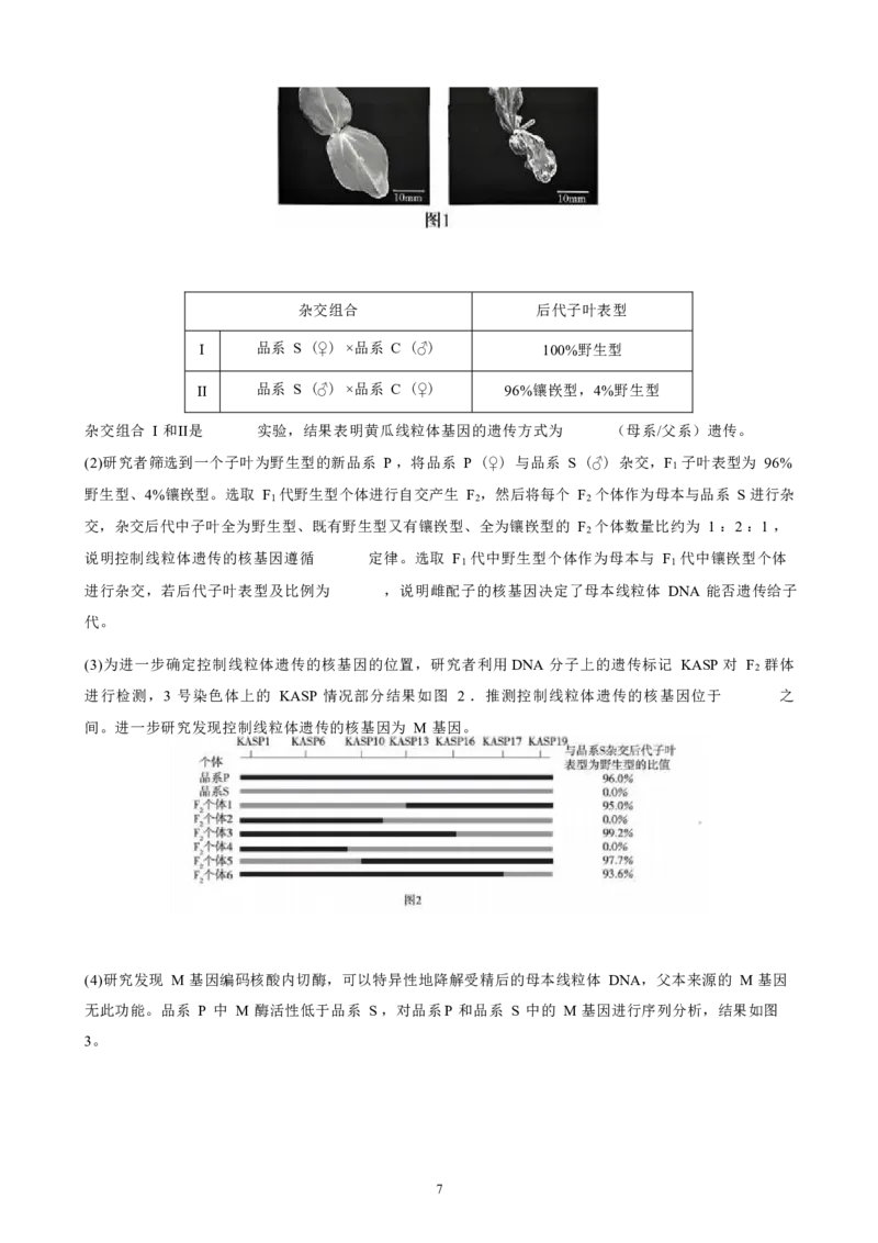 2025-2026学年高三毕业班第三次月考生物试题_2025年12月_251214福建省漳州市第三中学2025-2026学年高三上学期12月月考（全科）