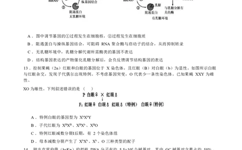 2025-2026学年高三毕业班第三次月考生物试题_2025年12月_251214福建省漳州市第三中学2025-2026学年高三上学期12月月考（全科）