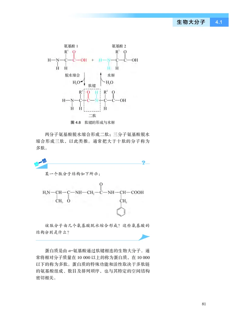 沪科技化学选修第三册高清教材_4-教培资料-26年最新资料-同步更新_初中高中教资_03科三专项（进去保存报考的学科即可）_02科三专项（笔记真题思维导图教学设计版本二）