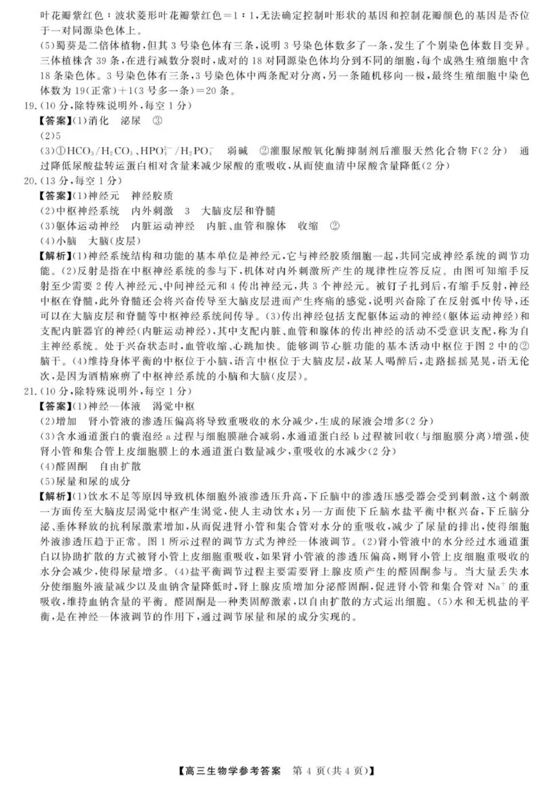 2025年榆林市高三生物联考答案_2025年12月_2512132025-2026学年高三12月联考_2025-2026高三12月联考生物试卷（含答案）