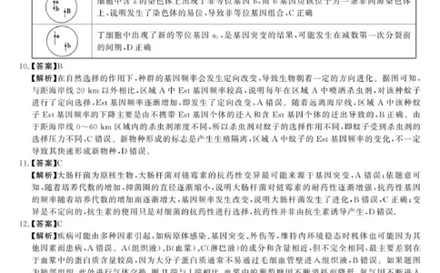 2025年榆林市高三生物联考答案_2025年12月_2512132025-2026学年高三12月联考_2025-2026高三12月联考生物试卷（含答案）