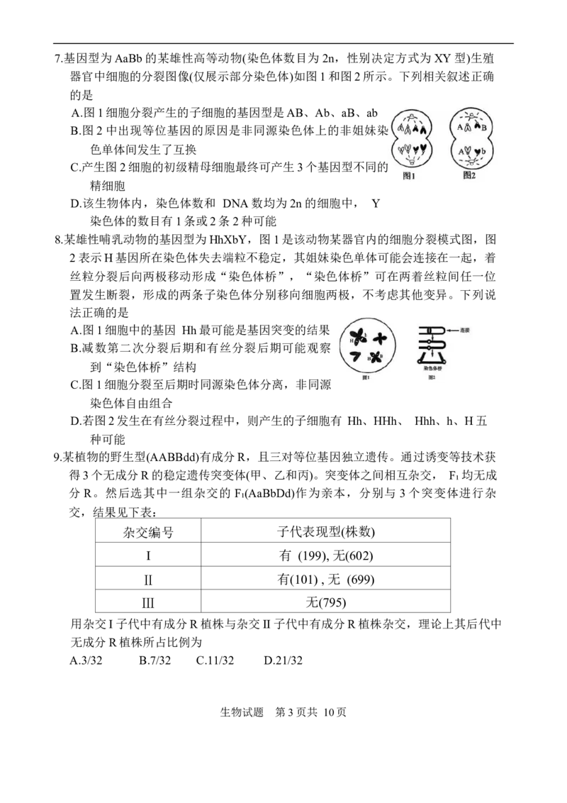 山东省实验中学2025-2026学年高三上学期第二次诊断性考试生物试题（含答案）_251108山东省实验中学2025-2026学年高三上学期第二次诊断性考试