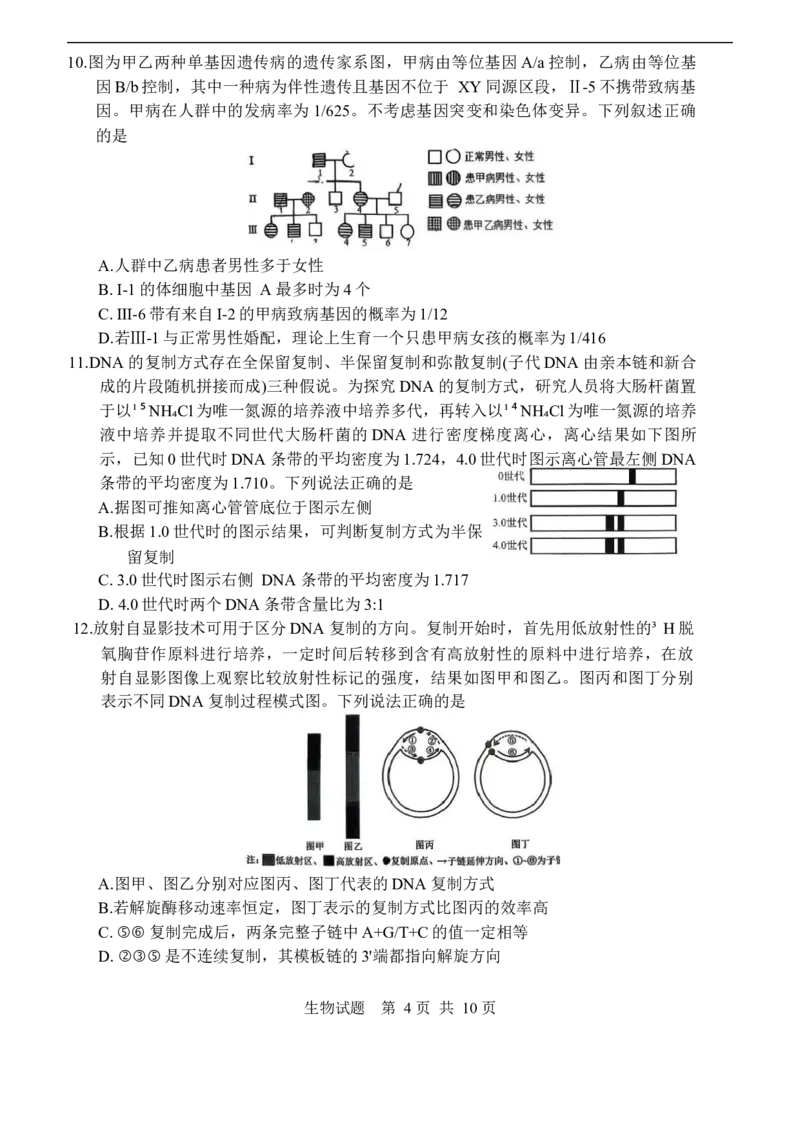 山东省实验中学2025-2026学年高三上学期第二次诊断性考试生物试题（含答案）_251108山东省实验中学2025-2026学年高三上学期第二次诊断性考试