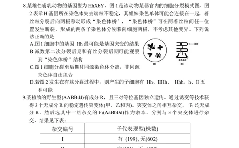 山东省实验中学2025-2026学年高三上学期第二次诊断性考试生物试题（含答案）_251108山东省实验中学2025-2026学年高三上学期第二次诊断性考试