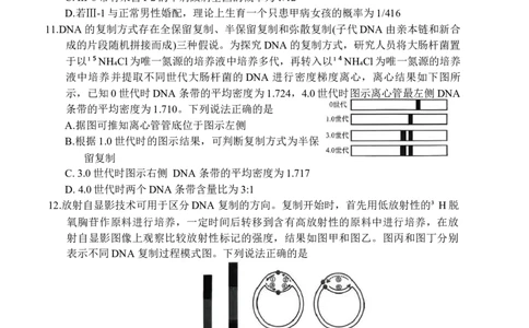 山东省实验中学2025-2026学年高三上学期第二次诊断性考试生物试题（含答案）_251108山东省实验中学2025-2026学年高三上学期第二次诊断性考试