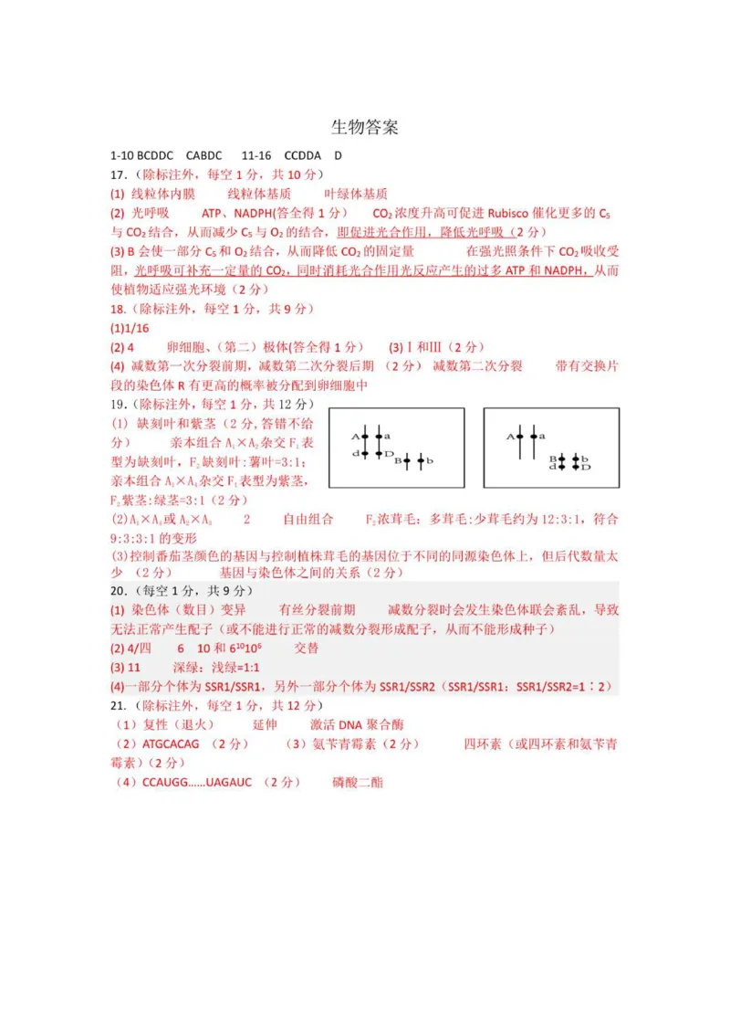生物答案定稿(1)_251103山西省太原市山西大学附属中学校2025-2026学年高三上学期10月模块诊断（总第五次）