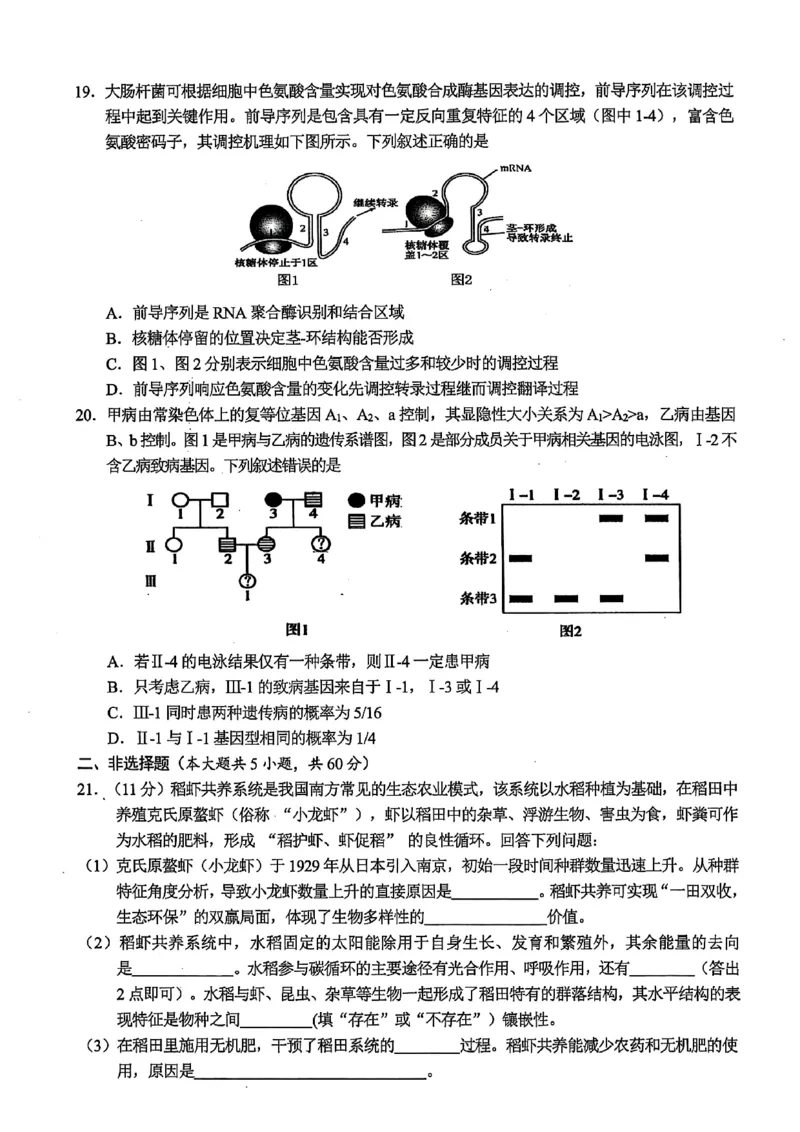 浙江省金华市十校2025-2026学年高三上学期11月模拟考试生物试题（含答案）_251107浙江省金华市十校2025-2026学年高三上学期11月模拟考试（全科）
