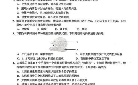 浙江省金华市十校2025-2026学年高三上学期11月模拟考试生物试题（含答案）_251107浙江省金华市十校2025-2026学年高三上学期11月模拟考试（全科）