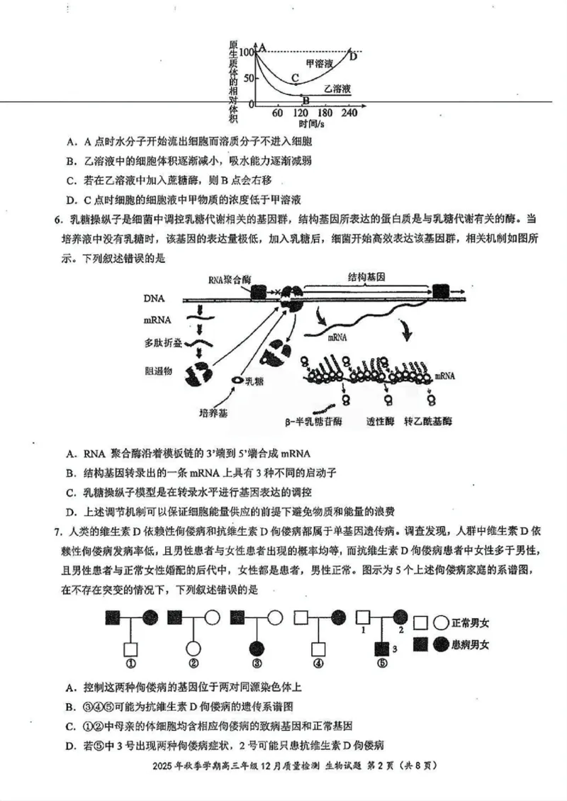 十一校生物试卷_2025年12月_251211湖北省十一校2025-2026学年高三上学期12月质量检测（全科）_湖北省十一校2025-2026学年高三上学期12月质量检测生物