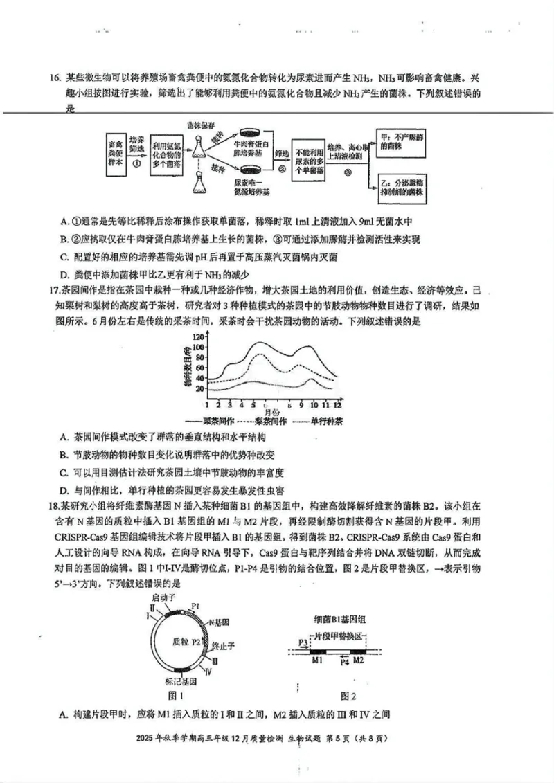 十一校生物试卷_2025年12月_251211湖北省十一校2025-2026学年高三上学期12月质量检测（全科）_湖北省十一校2025-2026学年高三上学期12月质量检测生物