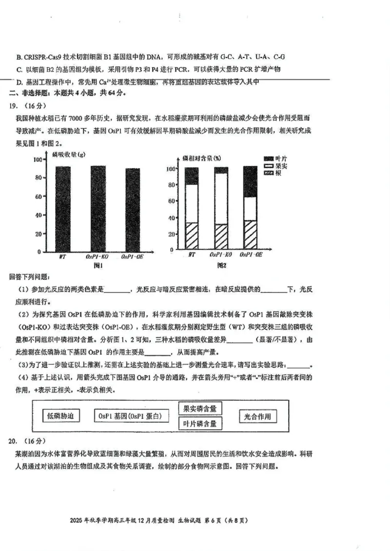 十一校生物试卷_2025年12月_251211湖北省十一校2025-2026学年高三上学期12月质量检测（全科）_湖北省十一校2025-2026学年高三上学期12月质量检测生物