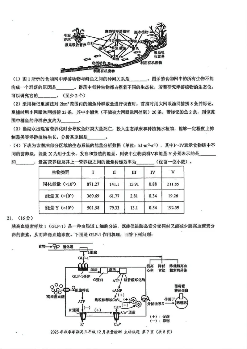 十一校生物试卷_2025年12月_251211湖北省十一校2025-2026学年高三上学期12月质量检测（全科）_湖北省十一校2025-2026学年高三上学期12月质量检测生物