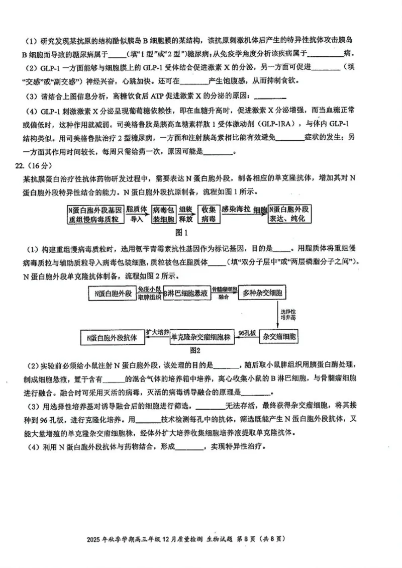 十一校生物试卷_2025年12月_251211湖北省十一校2025-2026学年高三上学期12月质量检测（全科）_湖北省十一校2025-2026学年高三上学期12月质量检测生物