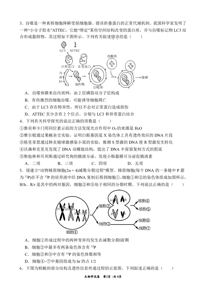 生物试卷（G3）+曲靖一中期中考试2025_251110云南省曲靖市第一中学2025-2026学年高三上学期11月期中