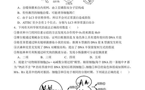 生物试卷（G3）+曲靖一中期中考试2025_251110云南省曲靖市第一中学2025-2026学年高三上学期11月期中