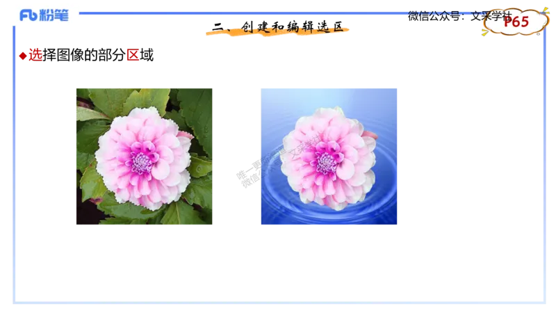 理论精讲06-多媒体技术2&middot;孙珍珍_4-教培资料-26年最新资料-同步更新_初中高中教资_03科三专项（进去保存报考的学科即可）_01科目三FB网课、三色速记手册、知识点导图等推荐