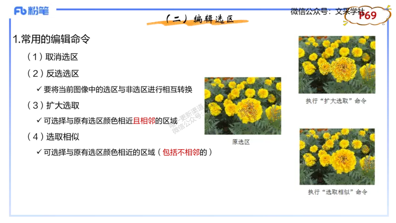 理论精讲06-多媒体技术2&middot;孙珍珍_4-教培资料-26年最新资料-同步更新_初中高中教资_03科三专项（进去保存报考的学科即可）_01科目三FB网课、三色速记手册、知识点导图等推荐