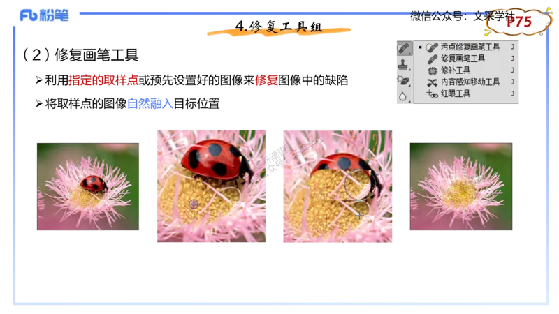 理论精讲06-多媒体技术2&middot;孙珍珍_4-教培资料-26年最新资料-同步更新_初中高中教资_03科三专项（进去保存报考的学科即可）_01科目三FB网课、三色速记手册、知识点导图等推荐